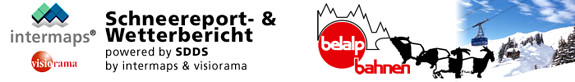 report header image