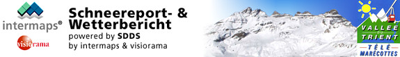 report header image