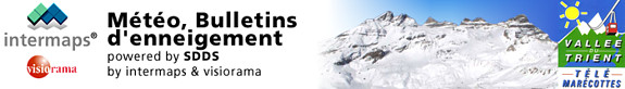 report header image