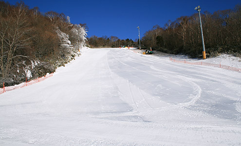 Snow Town Yeti
