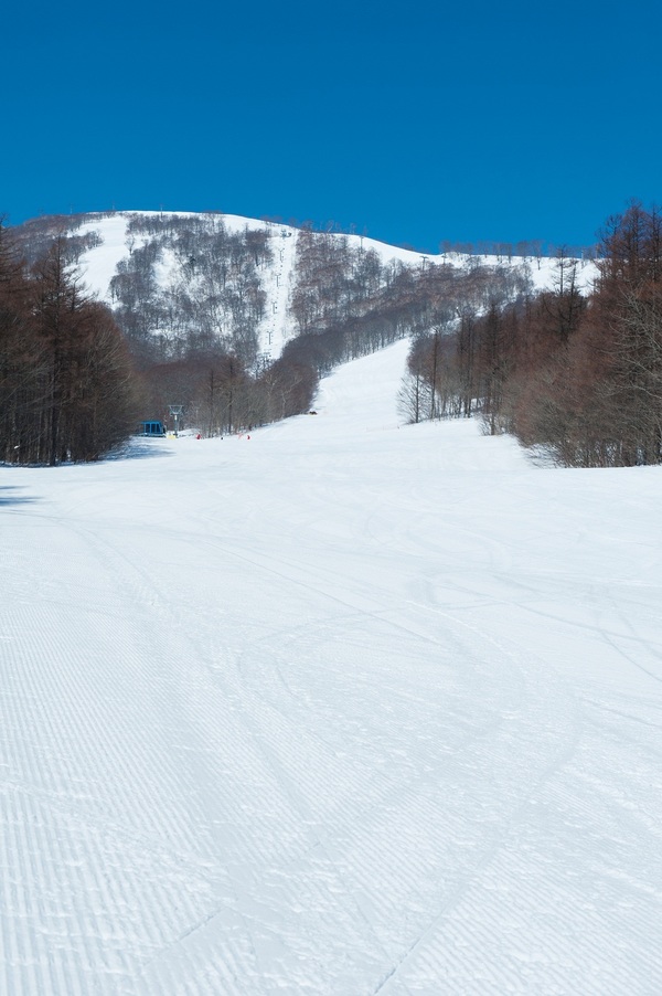 Shizukuishi Ski Resort