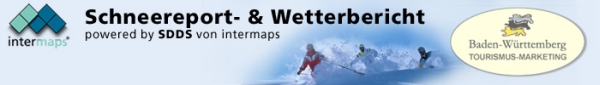 report header image