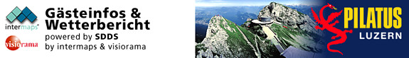 report header image