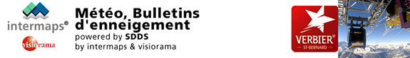 report header image