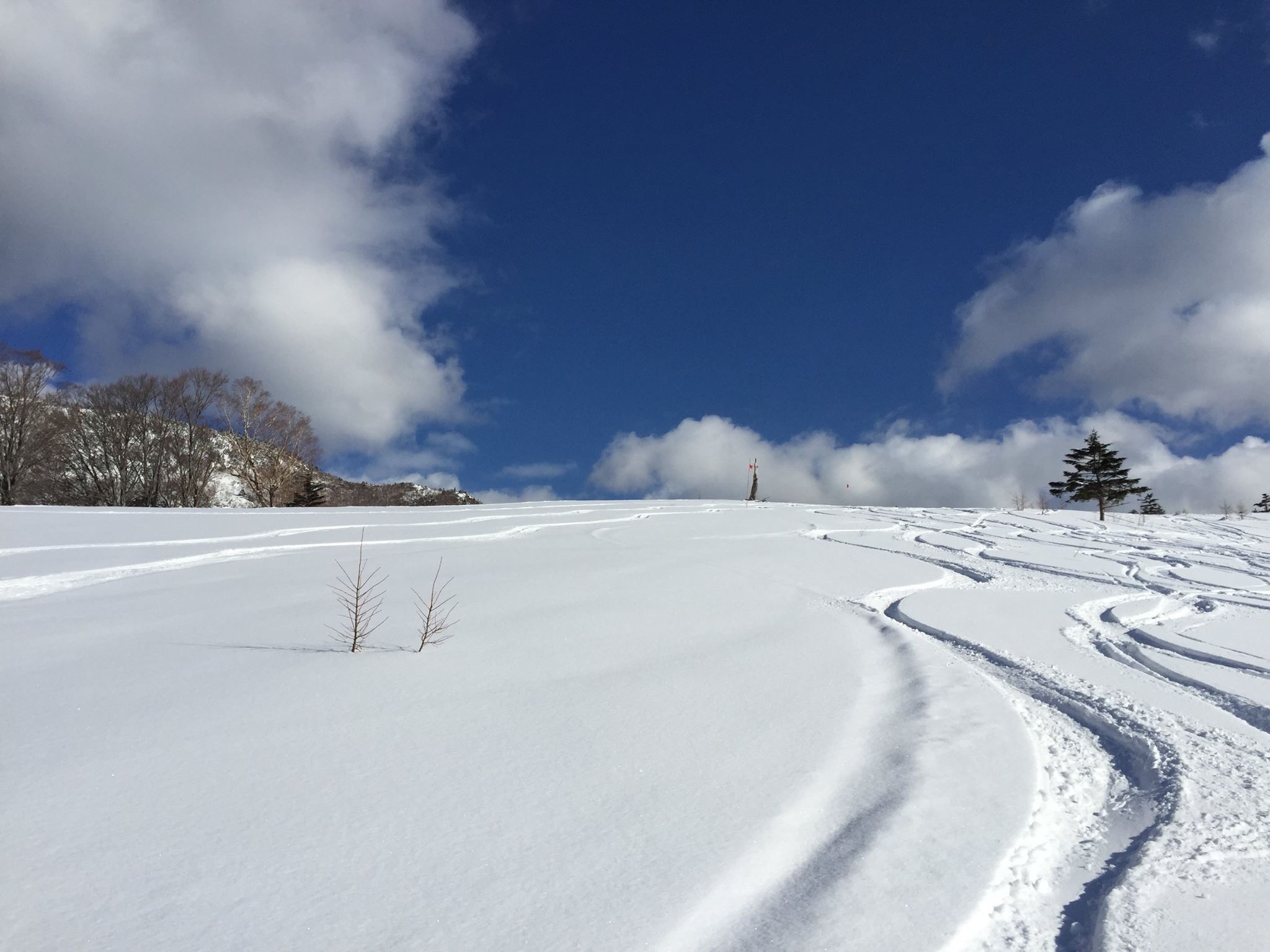 Yamaboku Wild Snow Park