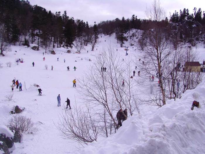 Panorama