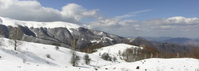 Panorama