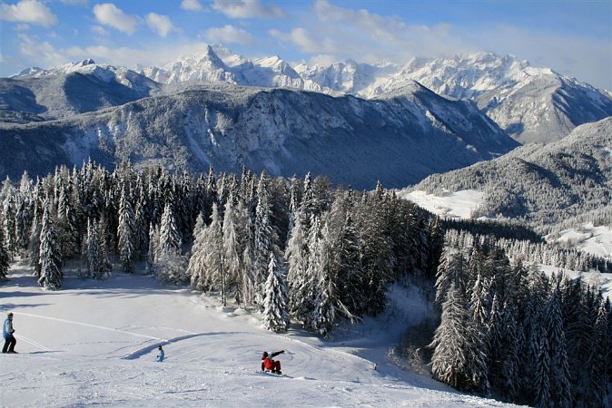 Panorama
